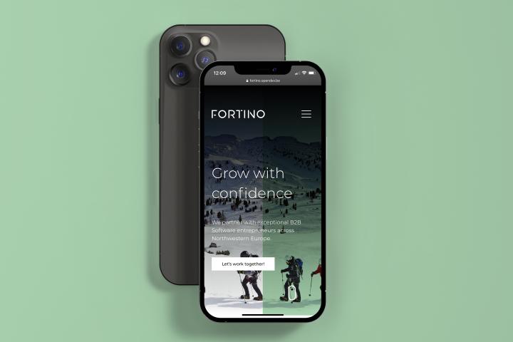 Fortino Capital - Web design & development