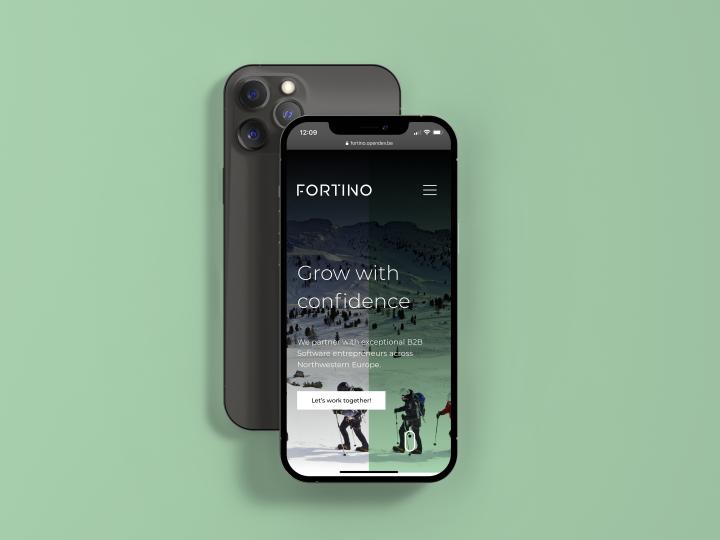 Fortino Capital - Web design & development